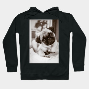 Super Girl Fawn Pug Puppy Black and White Hoodie